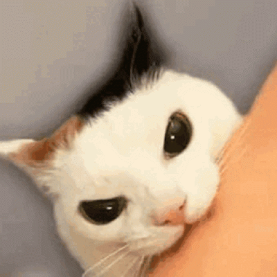 Phithiwat Moohammadno